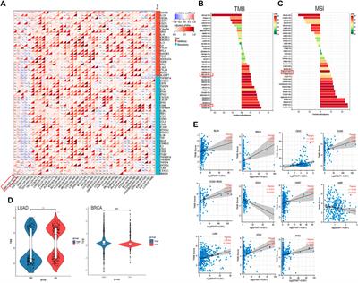 An integrated pan-cancer analysis of PSAT1: A potential biomarker for survival and immunotherapy